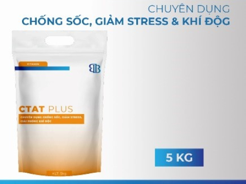 KỸ THUẬT PHÒNG BỆNH TỔNG HỢP
