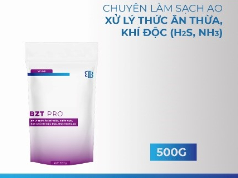 KỸ THUẬT QUẢN LÝ TẢO TRONG AO NUÔI TÔM