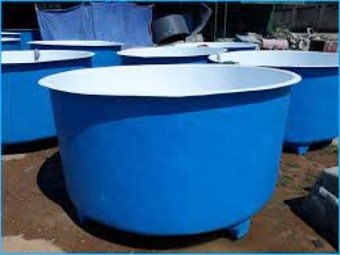 KỸ THUẬT THUẦN GIỐNG TRƯỚC KHI THẢ VÀO AO NUÔI GIAI ĐOẠN 1