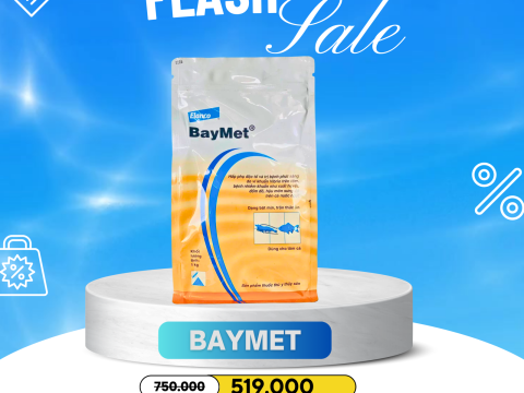 Ưu đãi sốc - Baymet 1kg giá 519k